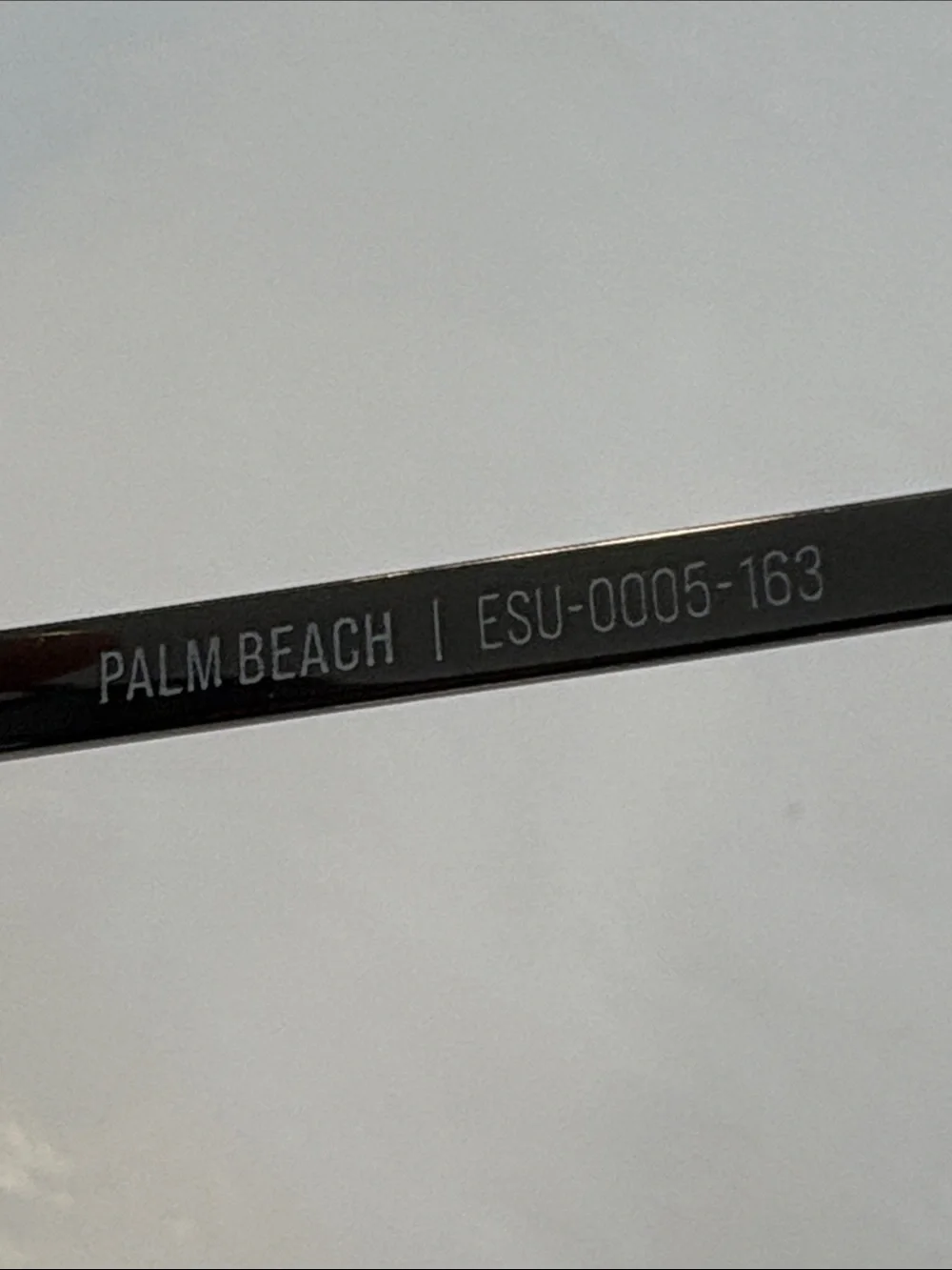 Men’s Metal Aviator Wollumbin Sunglasses ESU 0005-163